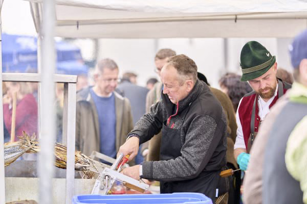 Preview campos_viola_gug_349-349