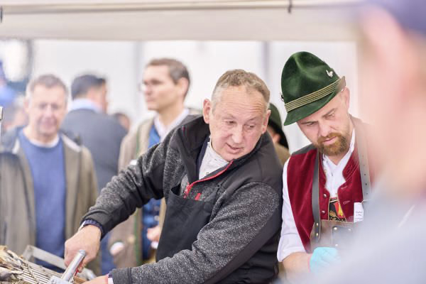 Preview campos_viola_gug_350-350