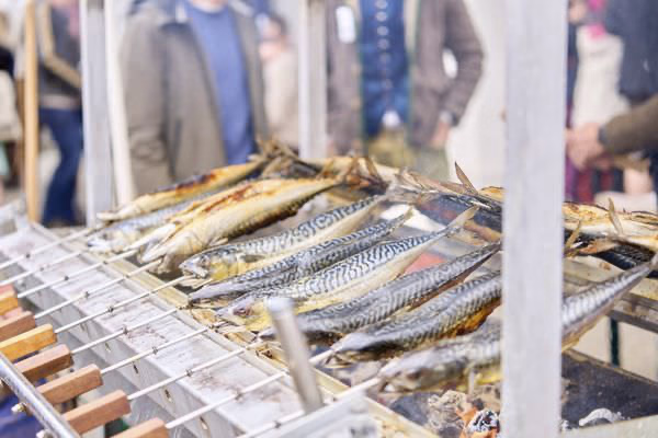 Preview campos_viola_gug_351-351