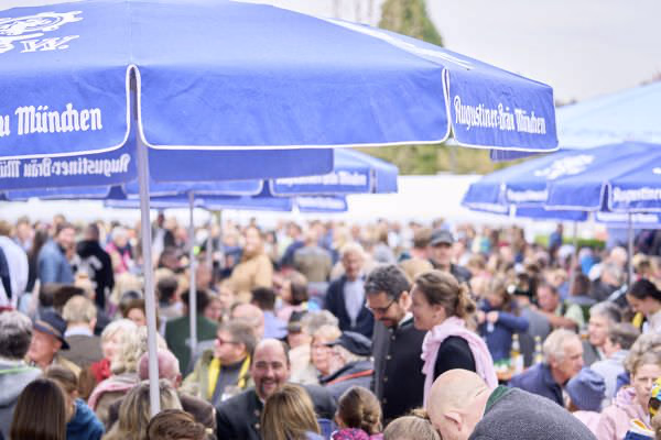 Preview campos_viola_gug_357-357