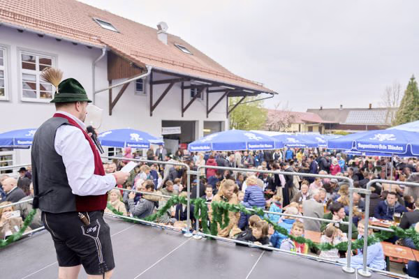 Preview campos_viola_gug_364-364