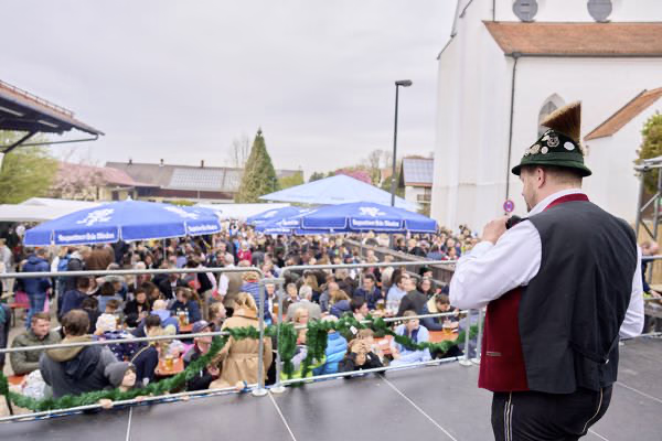 Preview campos_viola_gug_365-365