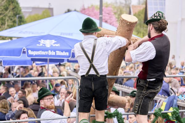 Preview campos_viola_gug_371-371