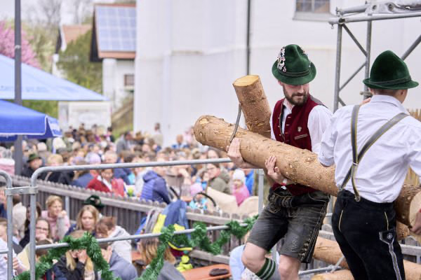 Preview campos_viola_gug_372-372