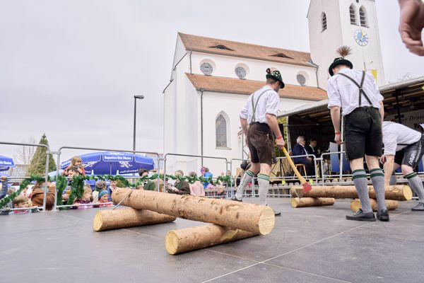 Preview campos_viola_gug_398-398