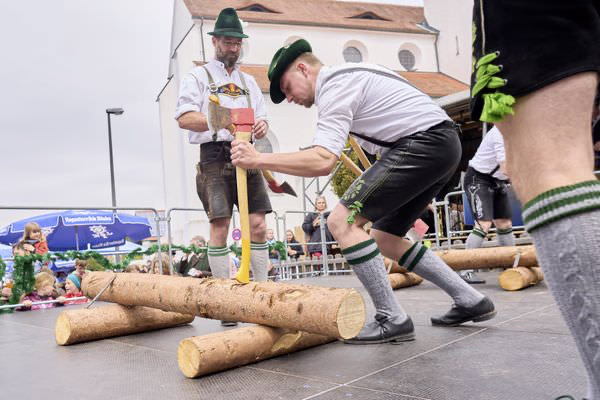 Preview campos_viola_gug_399-399