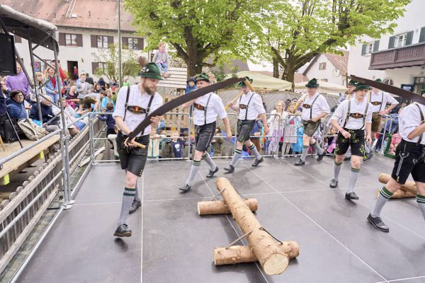 Preview campos_viola_gug_402-402