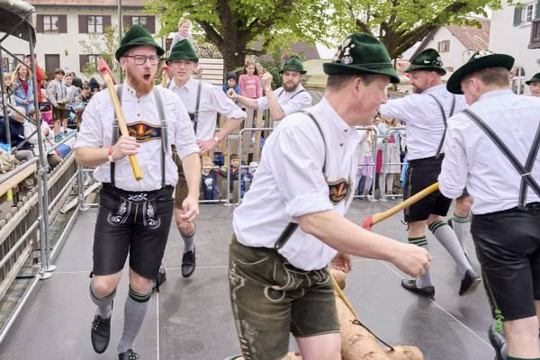 Preview campos_viola_gug_404-404