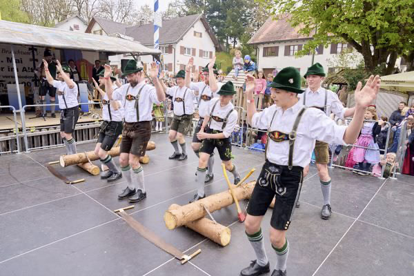 Preview campos_viola_gug_407-407