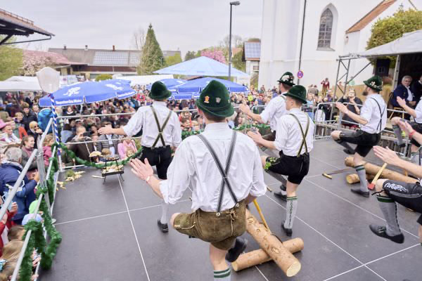 Preview campos_viola_gug_409-409