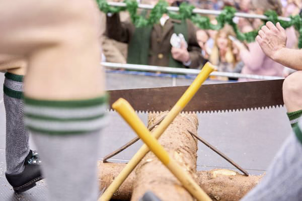 Preview campos_viola_gug_412-412