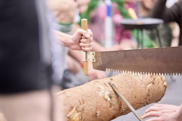 Preview campos_viola_gug_413-413