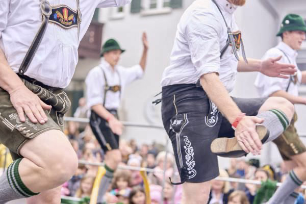 Preview campos_viola_gug_419-419