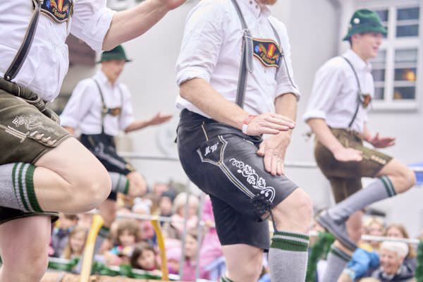 Preview campos_viola_gug_420-420