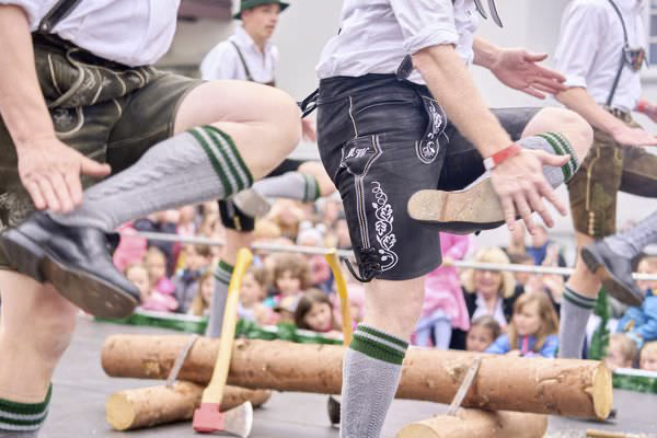 Preview campos_viola_gug_422-422