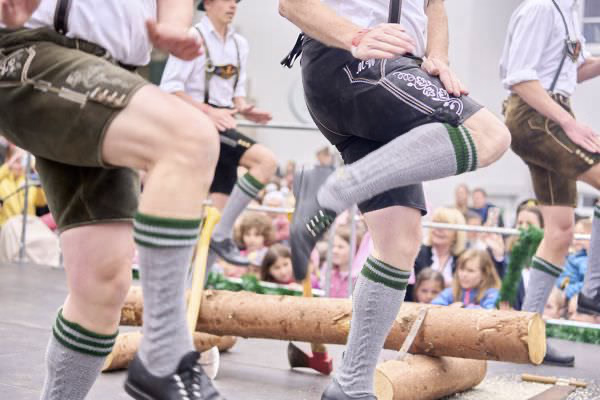 Preview campos_viola_gug_423-423