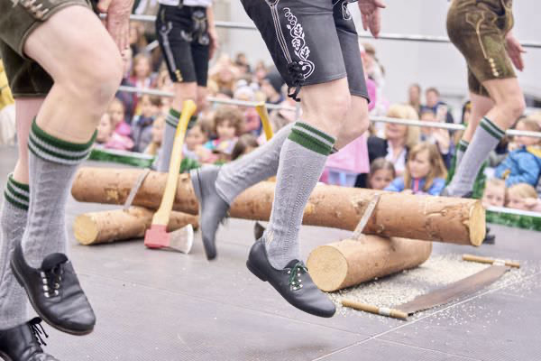 Preview campos_viola_gug_424-424