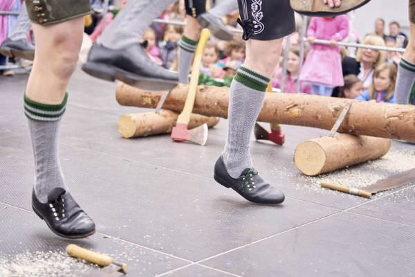 Preview campos_viola_gug_425-425