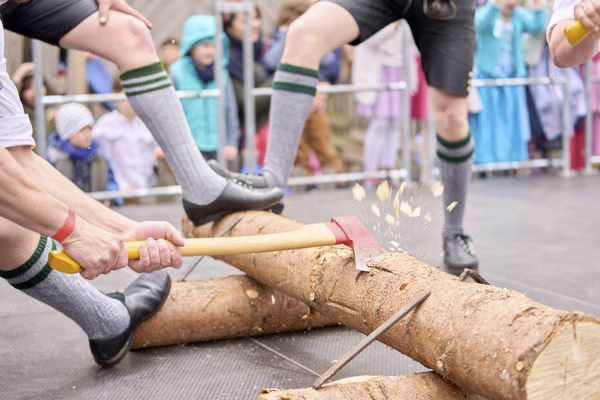 Preview campos_viola_gug_429-429