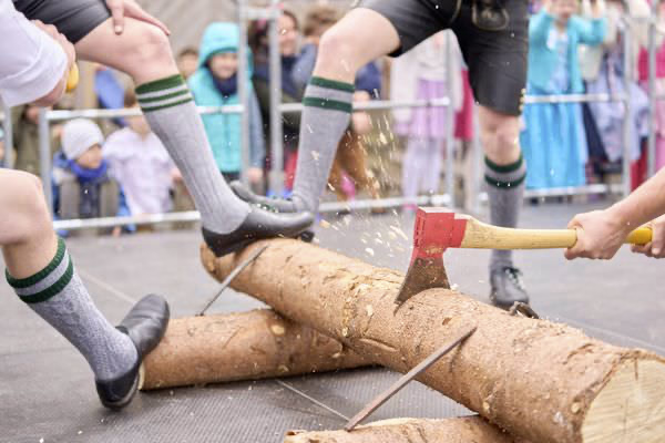 Preview campos_viola_gug_430-430