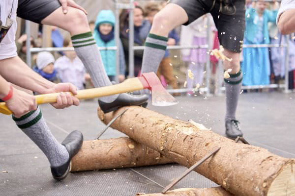 Preview campos_viola_gug_431-431