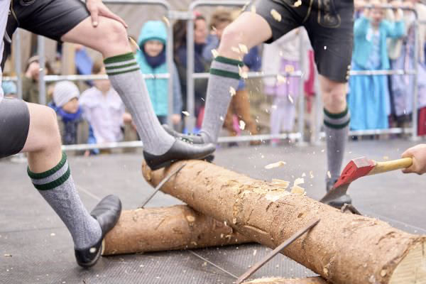 Preview campos_viola_gug_432-432