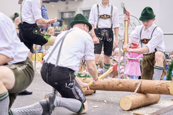 Preview campos_viola_gug_434-434