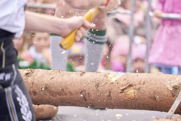 Preview campos_viola_gug_436-436