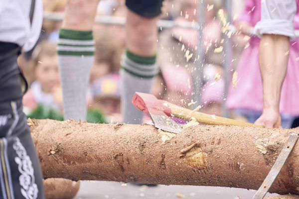 Preview campos_viola_gug_437-437