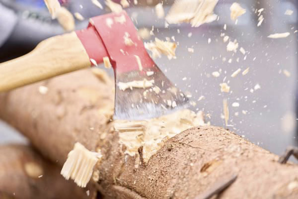 Preview campos_viola_gug_438-438