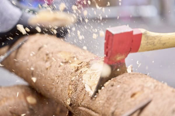 Preview campos_viola_gug_439-439