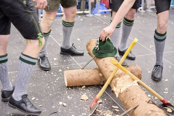 Preview campos_viola_gug_444-444