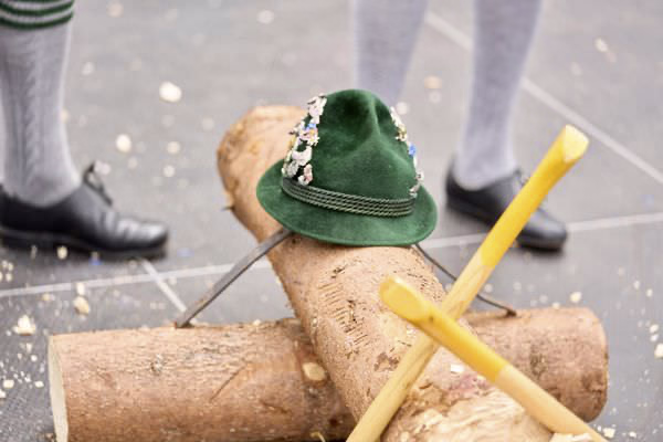 Preview campos_viola_gug_445-445