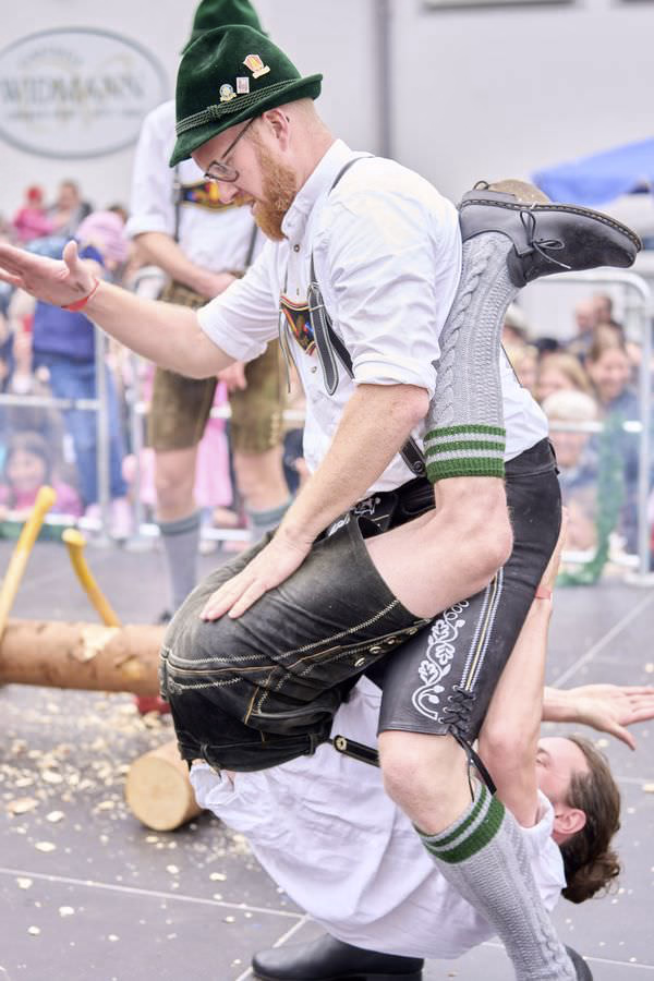 Preview campos_viola_gug_449-449