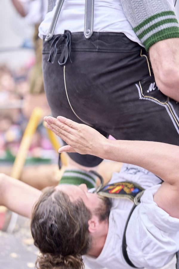 Preview campos_viola_gug_450-450