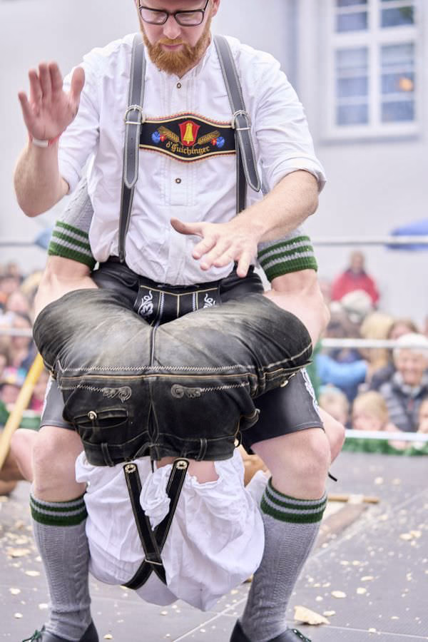 Preview campos_viola_gug_451-451