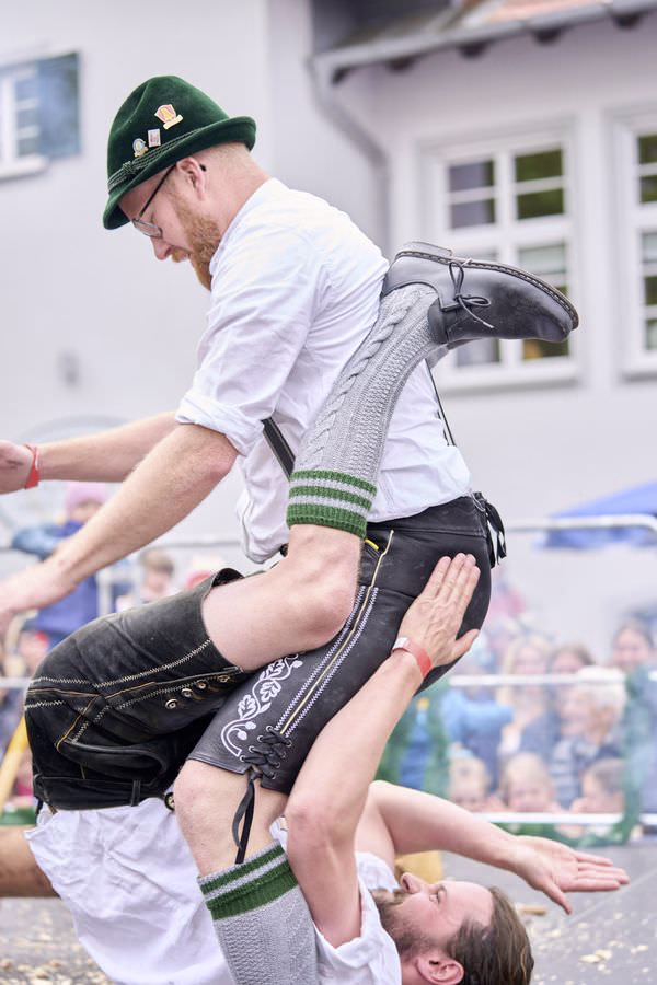 Preview campos_viola_gug_453-453