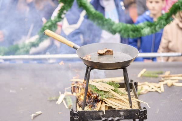 Preview campos_viola_gug_455-455