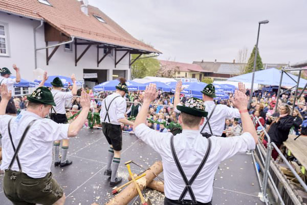 Preview campos_viola_gug_457-457