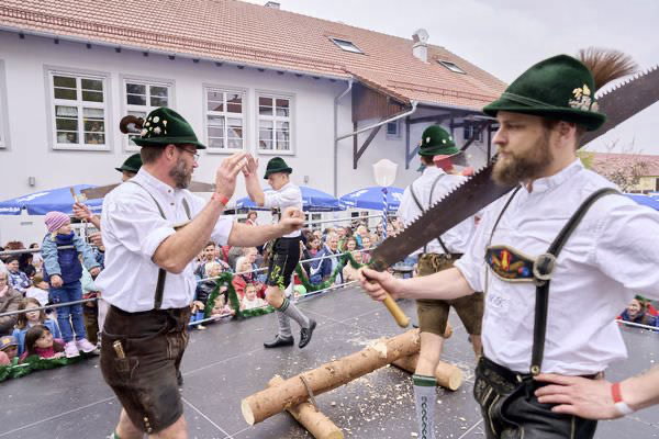 Preview campos_viola_gug_458-458