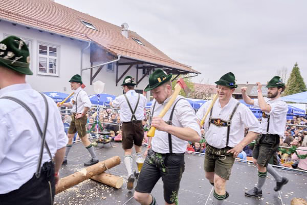 Preview campos_viola_gug_459-459