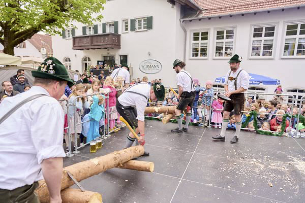 Preview campos_viola_gug_463-463