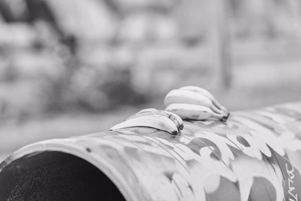 return of the boomletters 075