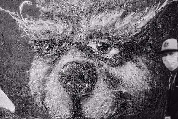 return of the boomletters 117