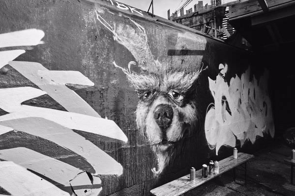 return of the boomletters 119