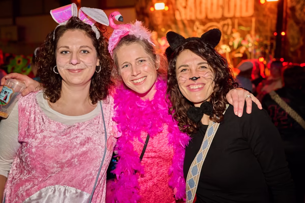 Preview campos_viola_gug_011-11