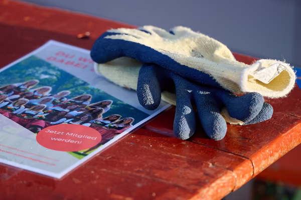 Preview campos_viola_gug_223-223