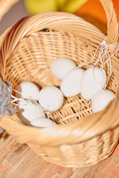 Preview campos_viola_gug_258-258