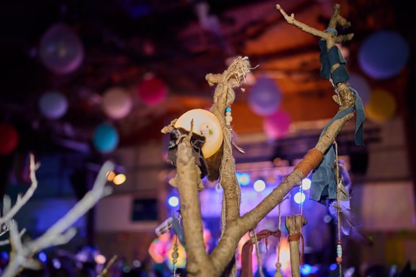 Preview Campos_Viola_DSC1646-172